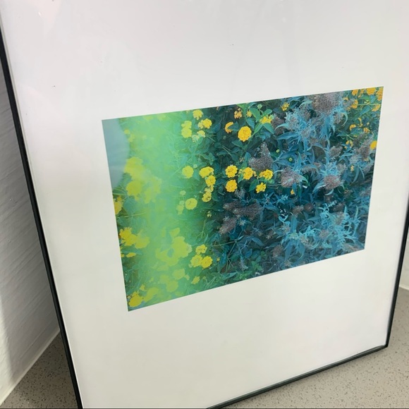 Lovely Star Original Photography Print - Picture 6 of 9